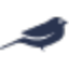 Robin AI