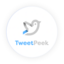 TweetPeek AI