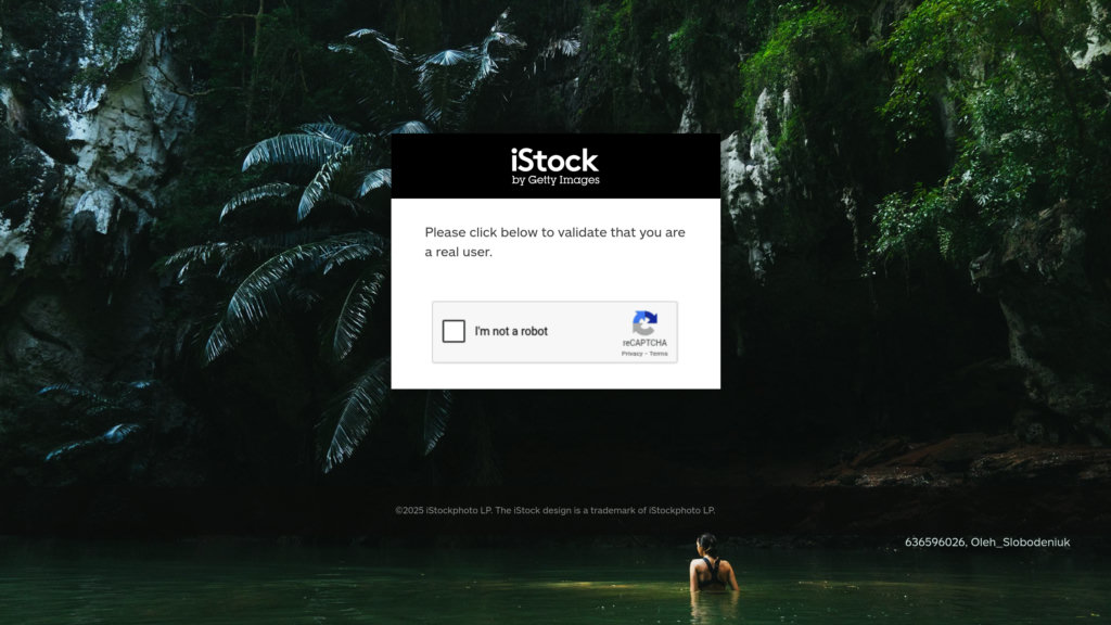 iStock 截圖