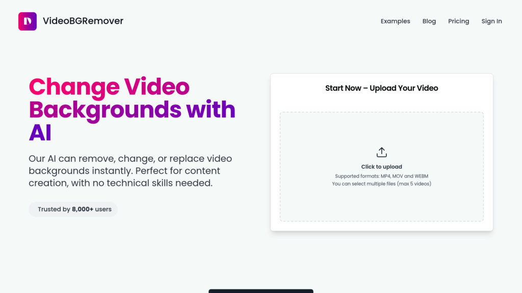 VideoBGRemover Screenshot
